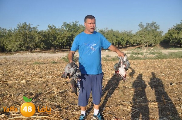 7amam lud monir 908 (61).JPG